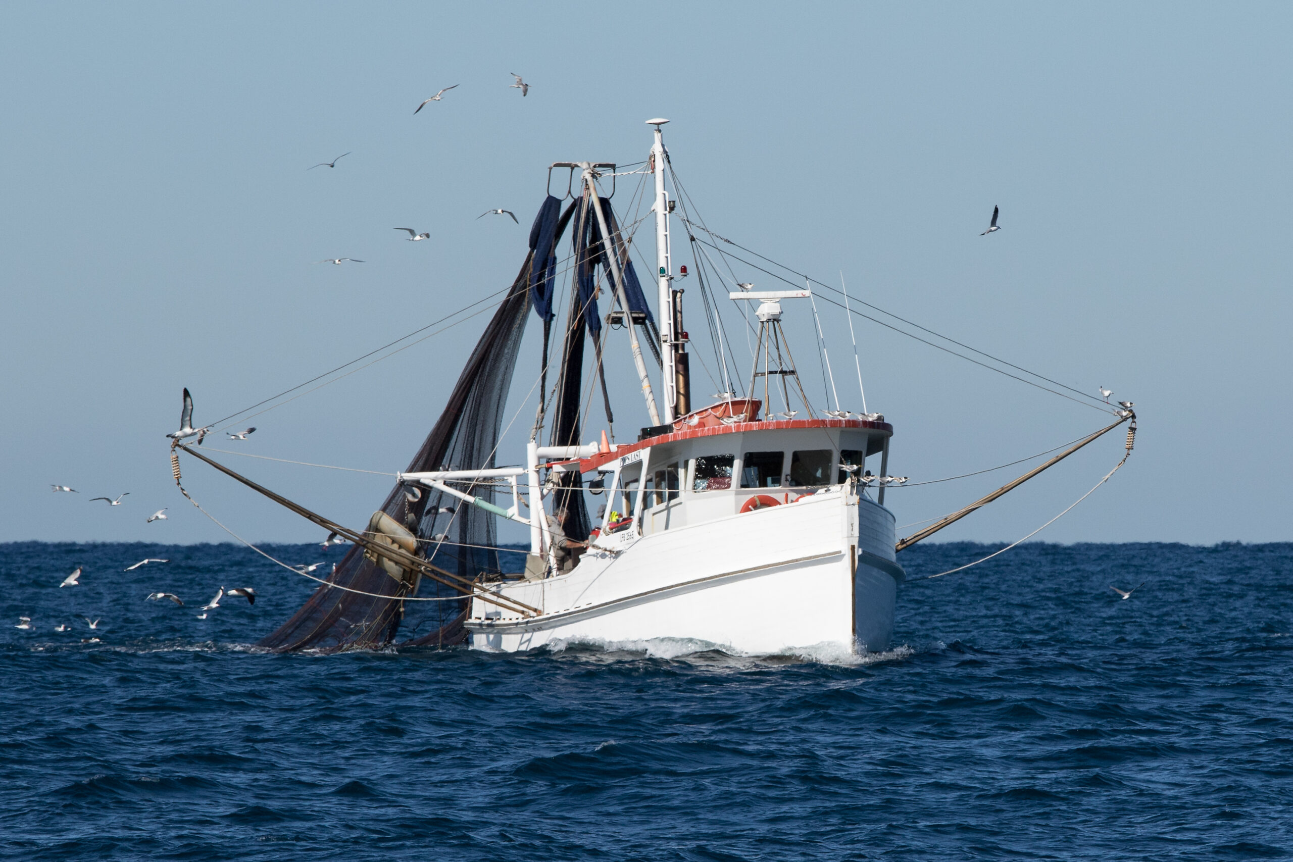 Fish trawler in action